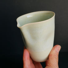 Load image into Gallery viewer, grip jug - aqua