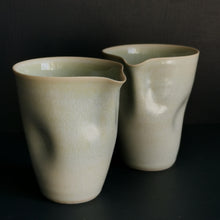 Load image into Gallery viewer, grip jug - aqua